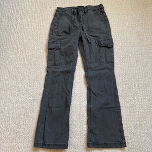 American Eagle Outfitters Dark Gray Cargo Pants